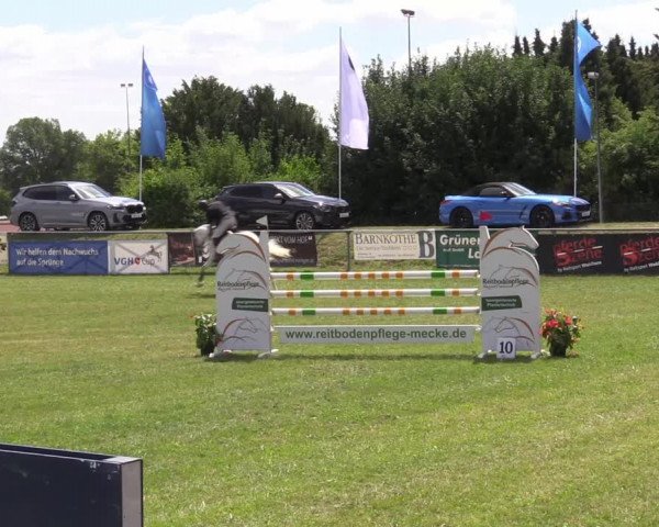 Reitturnier Moringen 2022