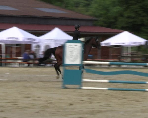 Reitturnier Hemer-Oese an der Edelburg 2022