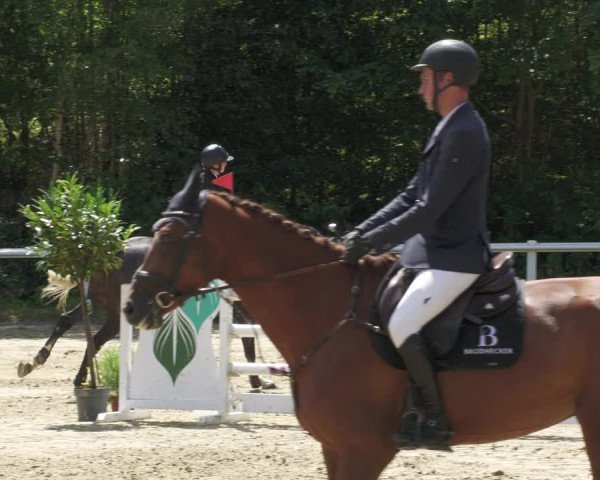 Reitturnier Hünfelden-Kirberg 2022