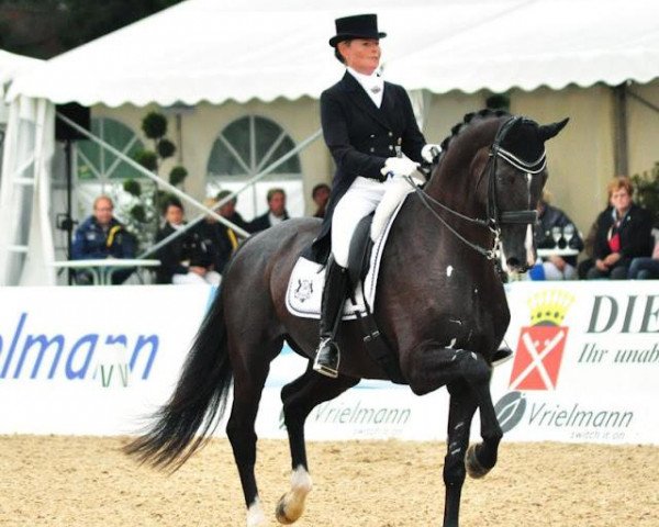 dressage horse Skovlunds Más Guapo (Danish Warmblood, 1998, from Master 129 FIN)