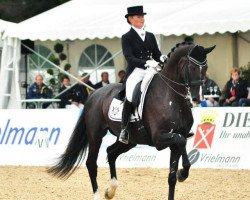 dressage horse Skovlunds Más Guapo (Danish Warmblood, 1998, from Master 129 FIN)