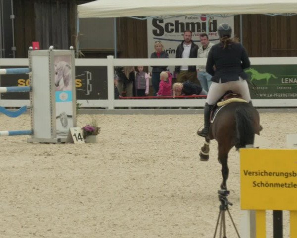 Springturnier Memmingen 2021