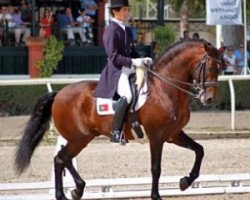 stallion Rubi (Lusitano, 1998, from Batial)