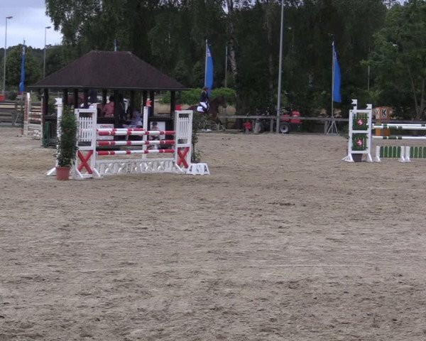 Reitturnier Münster-Roxel 2022