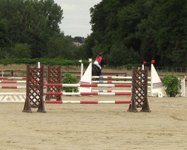 Reitturnier Hemer-Oese an der Edelburg 2022