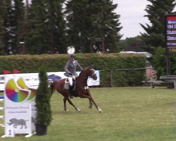 Reitturnier Moringen 2022