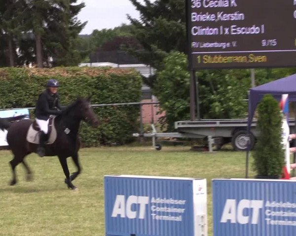 Reitturnier Moringen 2022