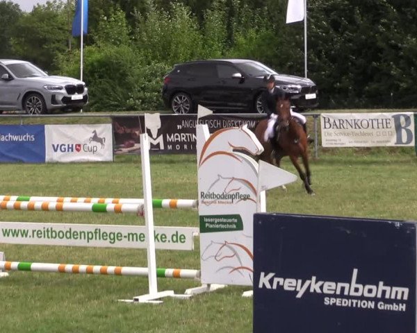 Reitturnier Moringen 2022