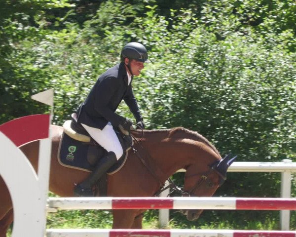Reitturnier Hünfelden-Kirberg 2022
