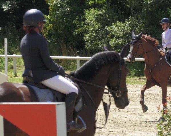 Reitturnier Hünfelden-Kirberg 2022