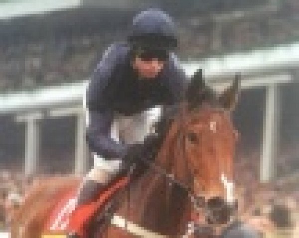 horse Theatreworld xx (Thoroughbred, 1992, from Sadler's Wells xx)