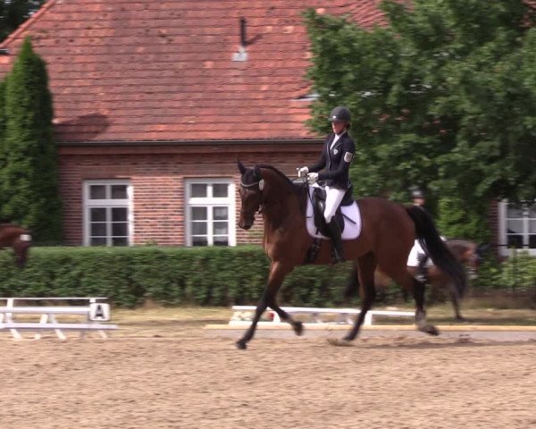 Reitturnier Redefin 2022