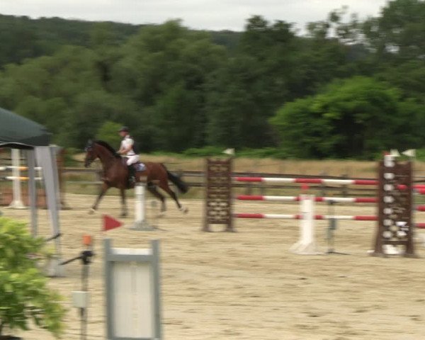 Reitturnier Hemer-Oese an der Edelburg 2022