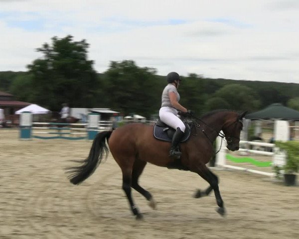 Reitturnier Hemer-Oese an der Edelburg 2022