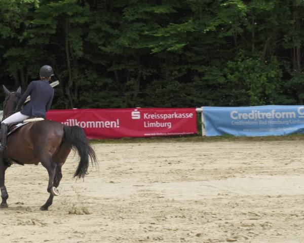 Reitturnier Hünfelden-Kirberg 2022