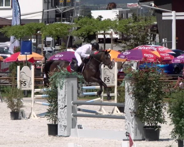 Reitturnier Gossau (Stall Sommersweid) 2022