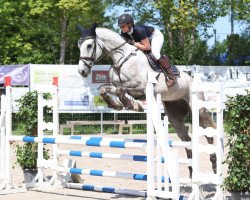 Springpferd Sandro E. Magic (Holsteiner, 2016, von Sandro Boy)