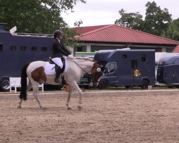 Reitturnier Redefin 2022