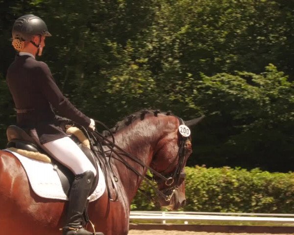 Reitturnier Nürtingen 2022
