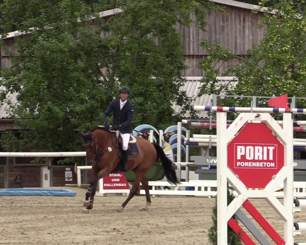 Reitturnier Haren-Raken 2022