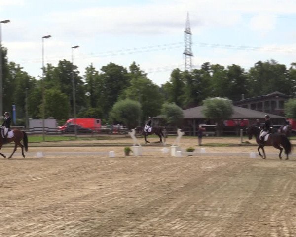 Reitturnier Münster-Roxel 2022