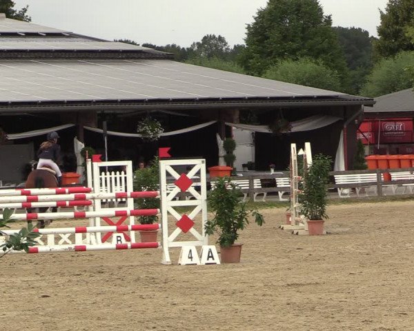 Reitturnier Münster-Roxel 2022