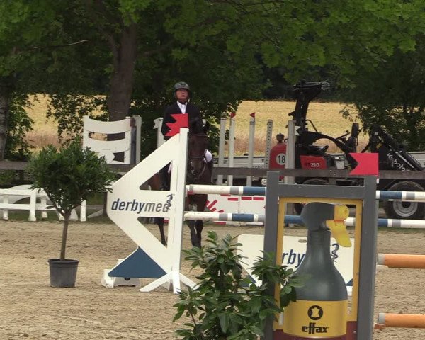 Reitturnier Münster-Roxel 2022