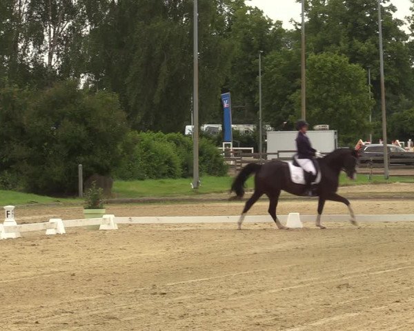 Reitturnier Münster-Roxel 2022