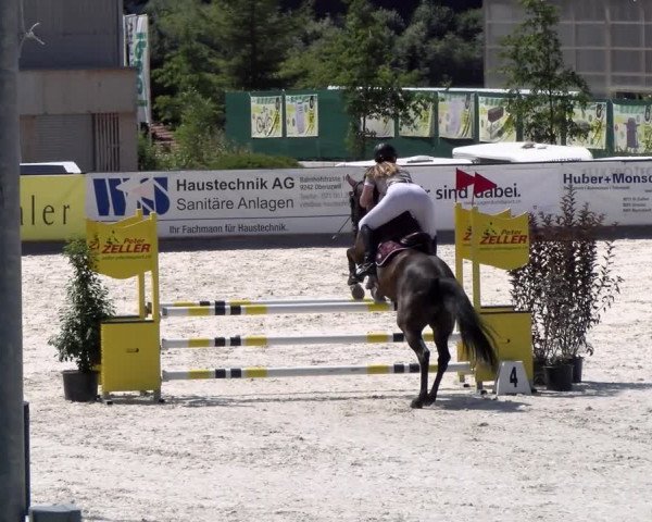 Reitturnier Gossau (Stall Sommersweid) 2022