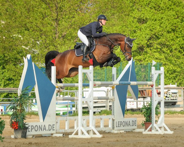 jumper Batida 135 (Rhinelander, 2015, from Balous Bellini)