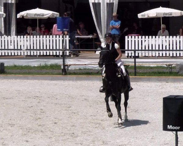 Reitturnier Gossau (Stall Sommersweid) 2022