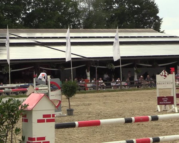 Reitturnier Münster-Roxel 2022