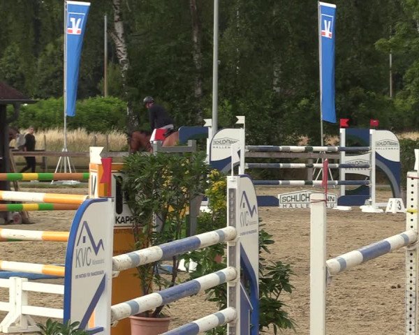 Reitturnier Münster-Roxel 2022