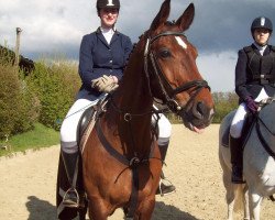jumper Captain Jack 14 (Westphalian, 2000, from Classic Man)