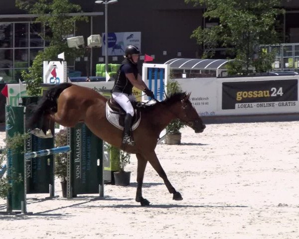 Reitturnier Gossau (Stall Sommersweid) 2022