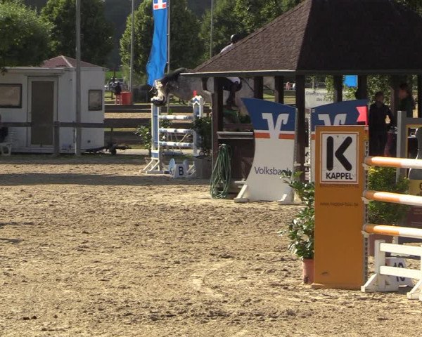 Reitturnier Münster-Roxel 2022