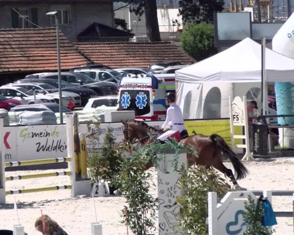Reitturnier Gossau (Stall Sommersweid) 2022