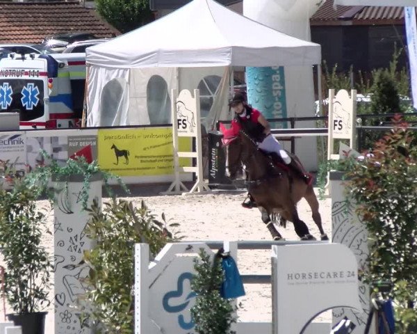 Reitturnier Gossau (Stall Sommersweid) 2022