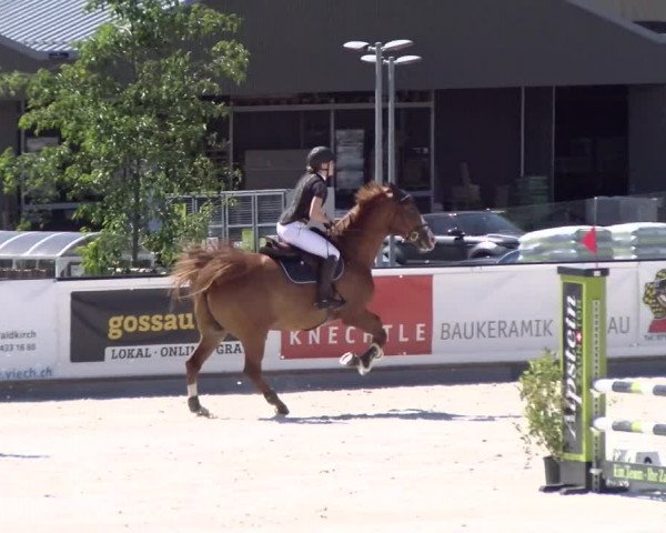 Reitturnier Gossau (Stall Sommersweid) 2022