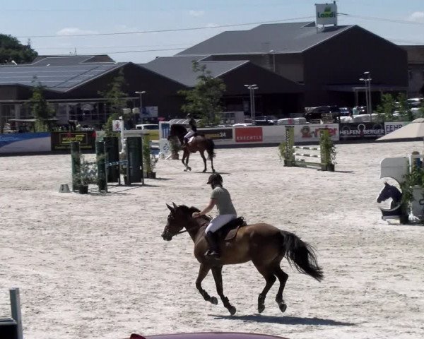 Reitturnier Gossau (Stall Sommersweid) 2022