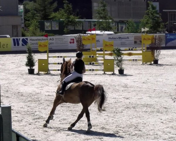 Reitturnier Gossau (Stall Sommersweid) 2022
