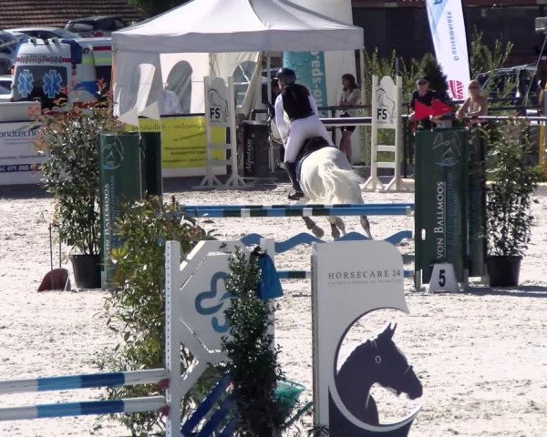 Reitturnier Gossau (Stall Sommersweid) 2022