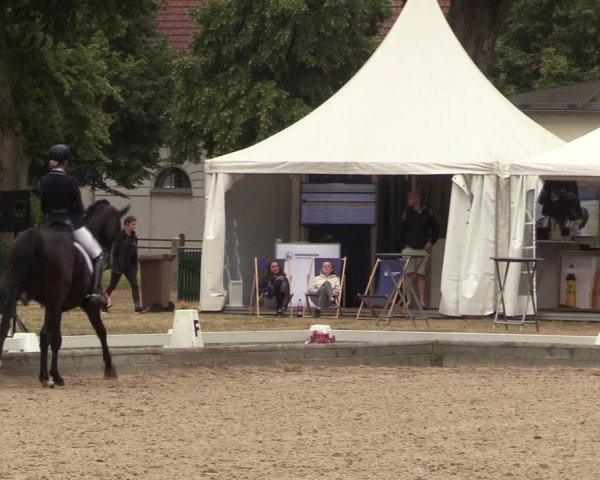 Reitturnier Redefin 2022
