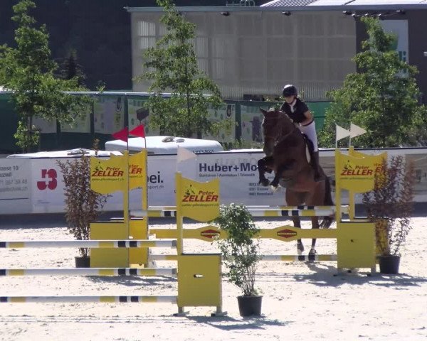 Reitturnier Gossau (Stall Sommersweid) 2022