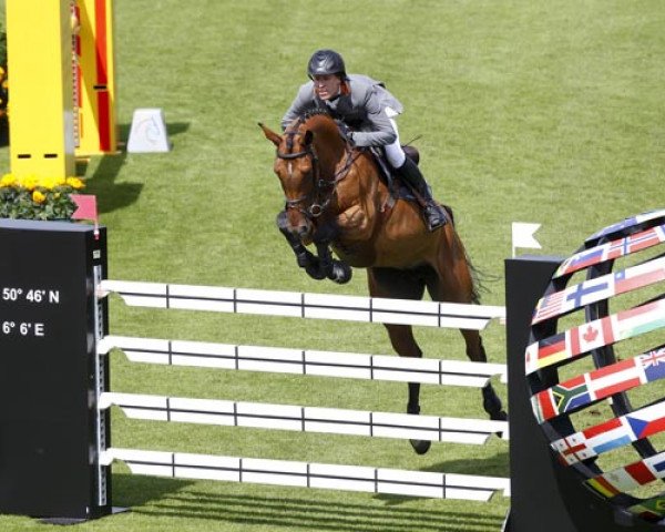 Zuchtstute Gut Neuenhofs Bacarole (Westfale, 2004, von Baloubet du Rouet)