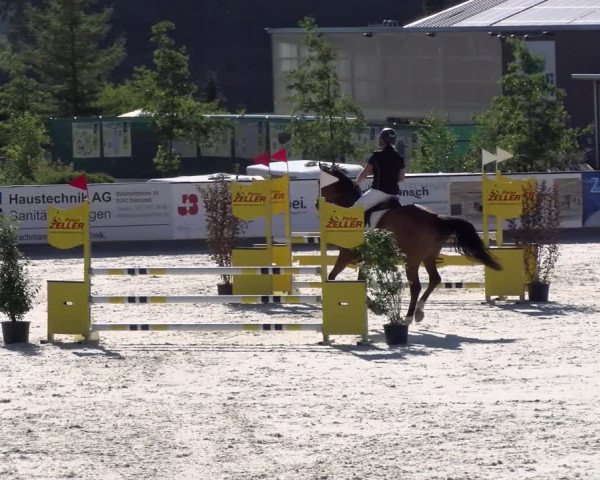 Reitturnier Gossau (Stall Sommersweid) 2022