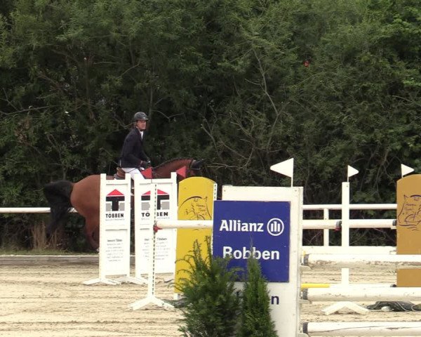 Reitturnier Haren-Raken 2022