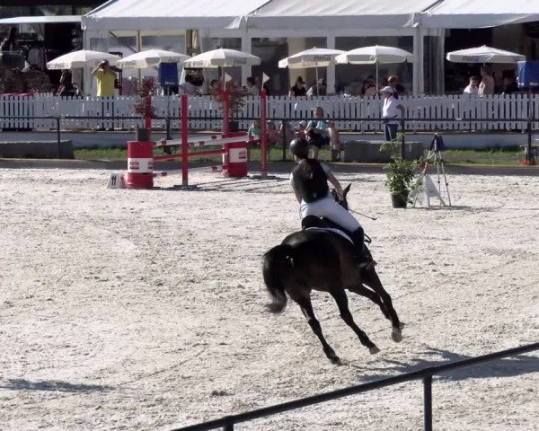 Reitturnier Gossau (Stall Sommersweid) 2022