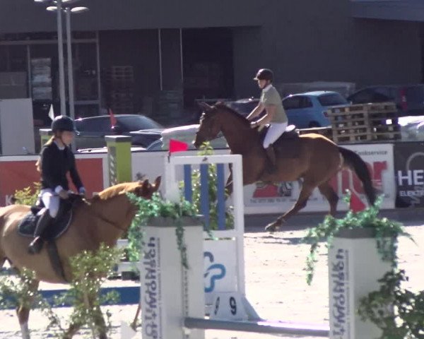 Reitturnier Gossau (Stall Sommersweid) 2022