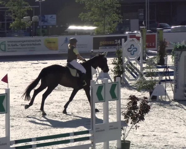 Reitturnier Gossau (Stall Sommersweid) 2022